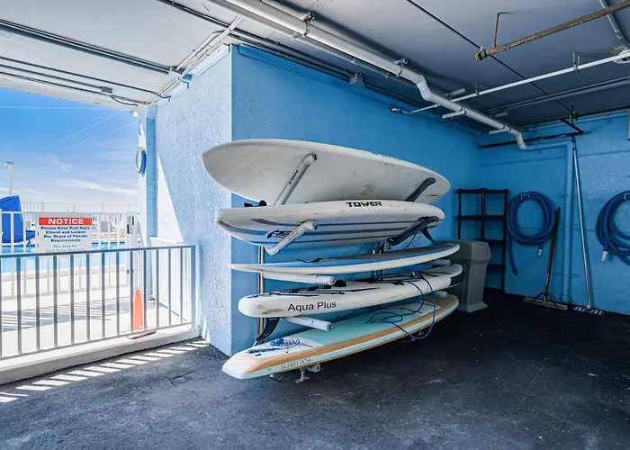 Dollar 302 * Clearwater Beach